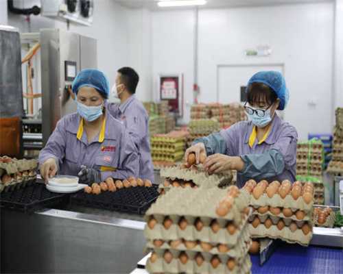 国内起重能力最大双臂架变幅式起重船完成首秀