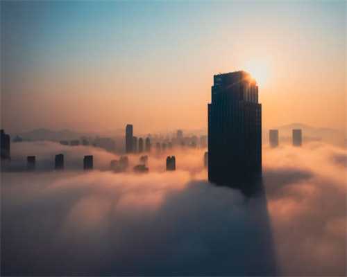 潍坊高密：共绘“三夏”好“丰”景